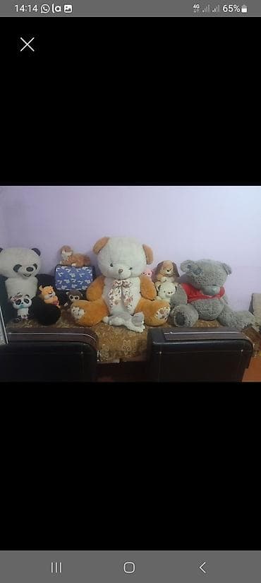 Oyuncaqlar hamsi 100 azn lalafo.az -da Oyuncaqlar hamsi 100 azn