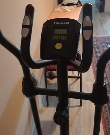 Ela vezyetde ternajor