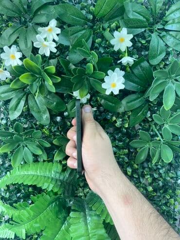 iphone 13 mini ikinci el: IPhone 13 mini, 128 GB, Yaşıl, Face ID, Zəmanət — 2