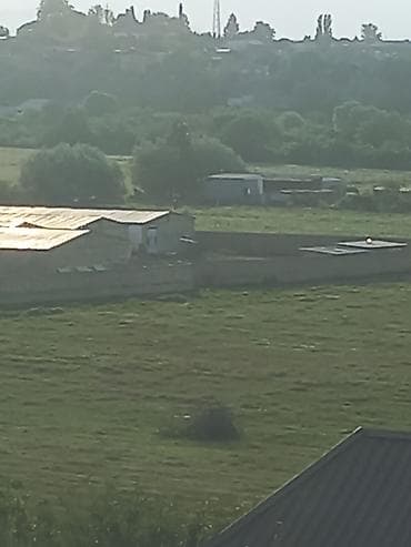 24 sot, Tikinti, Mülkiyyətçi, Kupça (Çıxarış)