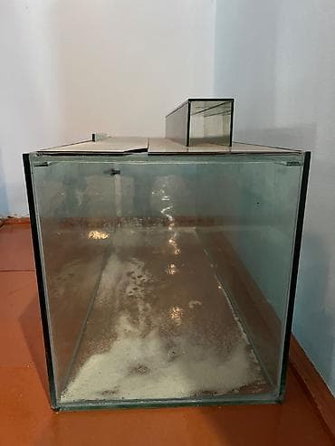 ay: Dördbucaq akvarium, Balıqlarla birlikdə, 145 l — 2