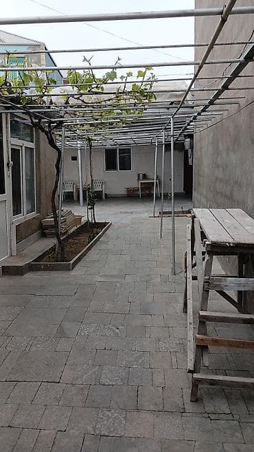 kiraya: 33 kv. m, 1 otaqlı, İnternet, Telefon, Qaz — 1