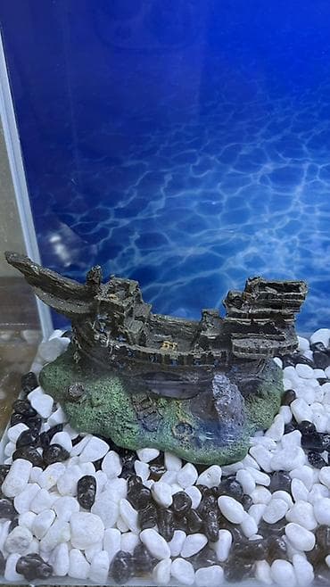 akvarium gəncə: Dördbucaq akvarium, Boş, 42 l, Ödənişli çatdırılma — 3