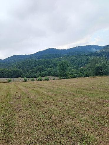 130 sot, Biznes üçün, Mülkiyyətçi, Kupça (Çıxarış)