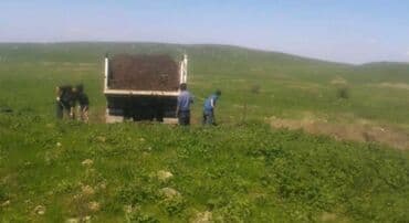 dibcək gulləri ev gulleri ve adlari: Torpaq, bağçılıq və ya tikinti işləri üçün yararlı ola bilər. Təmiz və — 2