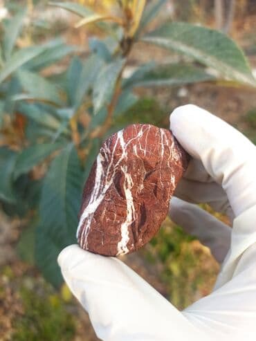 qızılın 1 qramının qiyməti 2022: 💎 Təbii JASPER Daşı😍 Qiymətlə bağlı maraqlananlar zəhmət olmasa — 5