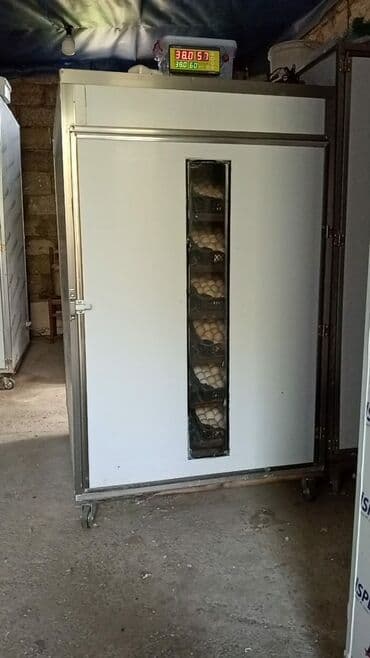 ПО для бизнеса: Inqbator satilir 1460 yumurtaliq tam aftomat islemesine cixarmaqina — 1