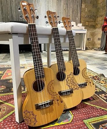 gitara temiri: Ən çox seçilənlərdən fərqli naxışlarla Smiger markasına aid GKC 355B — 1