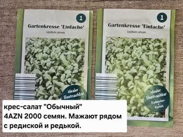 qara xardal toxumu harda satilir: "Middleman" sortlu təzə soğan toxumu. Müxtəlif rəngarıng kahı növləri — 6