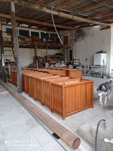 dibçek gulleri: Dibçək güldanlar. Dipçəklər bir başa sexdən.Sex qiymətinə. ♦️Endrim — 4