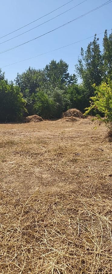 2 mərtəbəli ev: Bag Evi 20 Sot Kend Teserufati ucun cox uygundur 12 Sot Kupcali + 8 — 5