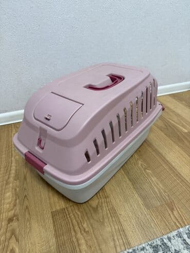 собака бу купить: Təzədən seçilmir
Çünki istifadə olunmayıb
Təcili satılır — 3