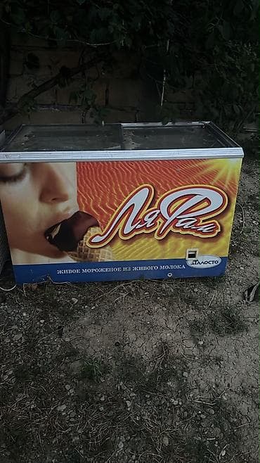 Dondurma soyuducusu tam işləkdir pub bağlandığı üçün satılır