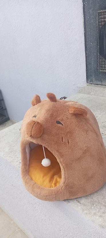 Yeni pisiy evi satilir.hem pencerecun hem yataq.yenidir.20.biri 15 dir — 3