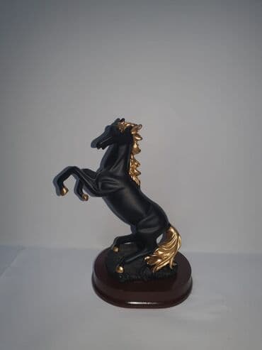 at sekilleri cekmek: Fiqur, Rezin — 14