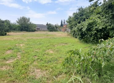 5 sot, Tikinti, Mülkiyyətçi, Kupça (Çıxarış)