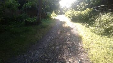 xacmazda findiq bagi satilir: 8 sot, Kupça (Çıxarış) — 5