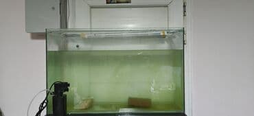 bmw 3 серия 335i mt: Akvarum satılır 500 letrilik akvarumdı,üzərində havalandırıcı və — 2