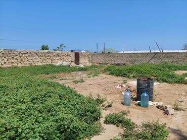 maştağada sot: Tikinti, Mülkiyyətçi, Kupça (Çıxarış) — 4