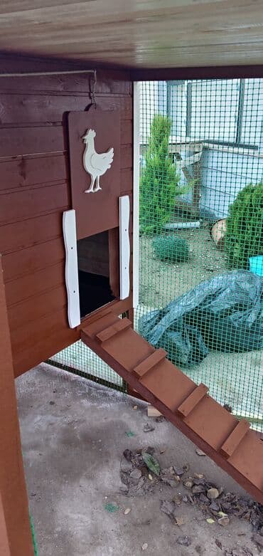 quş yuvası: Tuyuq yuvası Hin sifarişlə hazırlanması istənilən ölçüdə tam — 6