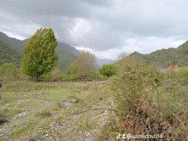 qurtulus 93 de satilan evler: 6000 sot, Tikinti, Mülkiyyətçi, Kupça (Çıxarış) — 6