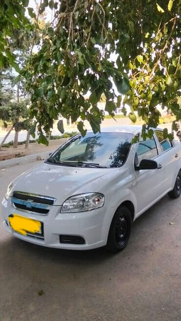 masinim var ag rengi: Chevrolet Aveo sedan – ağ rəng, 4 qapılı, ön ötürücülü şəhər — 6