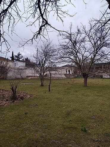 22 sot, Tikinti, Makler, Kupça (Çıxarış)