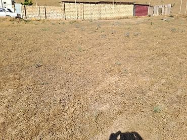 mastagada torpaq: 6 sot, Tikinti, Mülkiyyətçi, Kupça (Çıxarış) — 2