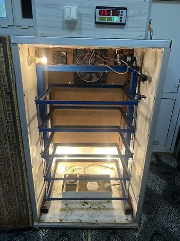 Kənd təssərüfatı avadanlığı: Sənaye tipli avtomatik inkubator - Yüksək tutumlu şkaf tipli — 3