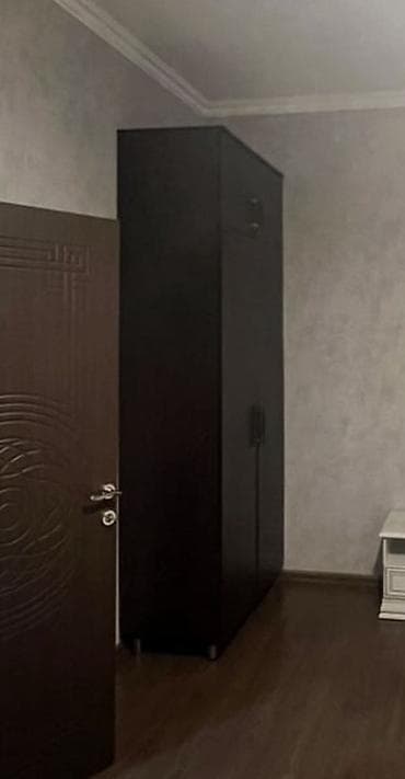 ofis dolab: 2 qapılı, Qəhvəyi, Taxta, Açılan, Düz dolab — 2