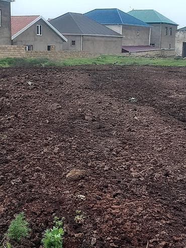 torpa: Tikinti — 3