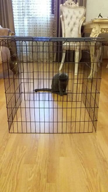 Chery: Heyvanlar üçün qəfəs — 3