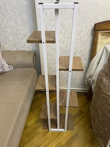 suni bitki: Dekorativ rəf, Düz — 1