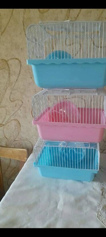 ucuz nivalar: Təzədir. Cunqarik saxlamaq üçün idealdır. 1 Eded cunqarik qefesle — 2