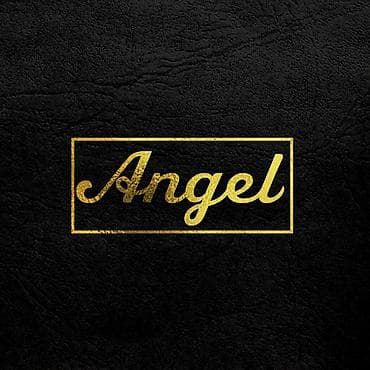 terzi: Peşəkar Loqo Dizaynı və Brend Kimliyi Xidməti – “Angel” konsepti — 1