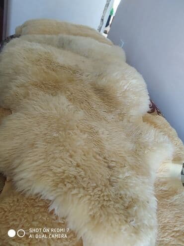 sebeke dekor: Мерино длинна 1,20 длинна шерсти 5-6 см куплен в Германии есть — 2