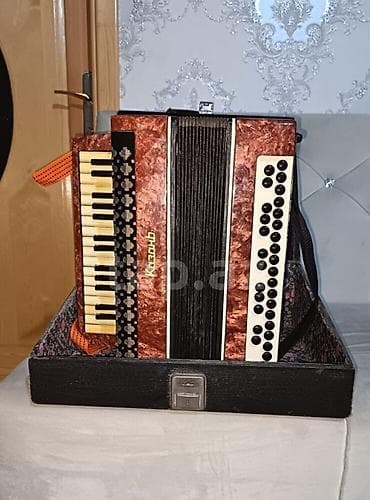 hoffmann 43 109 cm: Akustik Akkordeon, İşlənmiş — 1