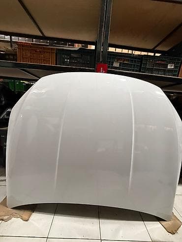 BYD Qin Plus Hazır Rəngli Kapot