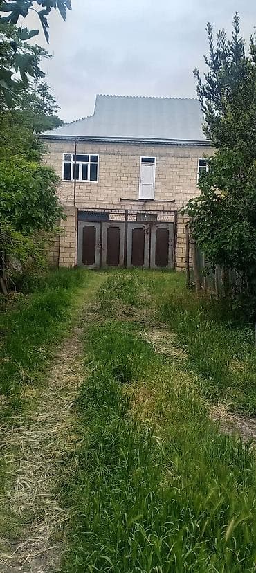 Tecili satılır Agcebedi de Qiymet Barede rasilasma olacag
