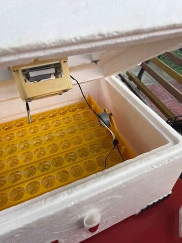 капсульная кофемашина баку: Salam, 63 ədəd yumurtalıq inqubator. Polnu avtomatdır. Yumurtanı özü — 4