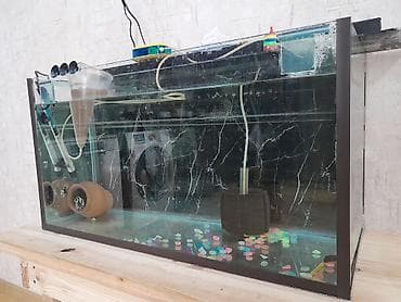 Dördbucaq akvarium, Boş, 110 l, Ünvandan götürmə