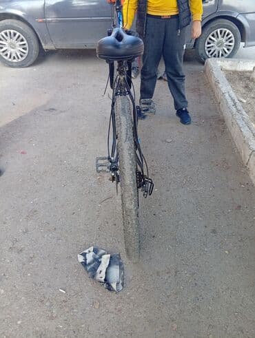 İncəsənət və kolleksiyalar: Velosipedin cıxığı var və skorus dəyişilməlidir endirim var — 3