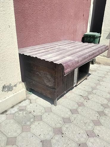 arı yuvası: Möhkem taxdadan yıgılmış yuva heyvanlar üçün rengli laknan renglenib — 2