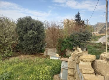 тап аз недвижимость: 5 sot, Tikinti, Mülkiyyətçi — 1