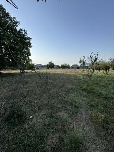 binəqədidə torpaq satılır: Torpaq satılır – 13 sot | Gəncəyə yaxın 📍 Gəncə şəhərinə cəmi 2 km — 6