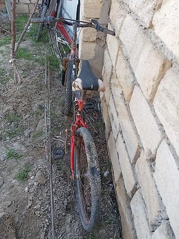 Şəhər velosipedi Rambo, 24", sürətlərin sayı: 1