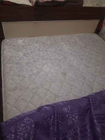 Otaq bitkiləri: 160*2 — 1