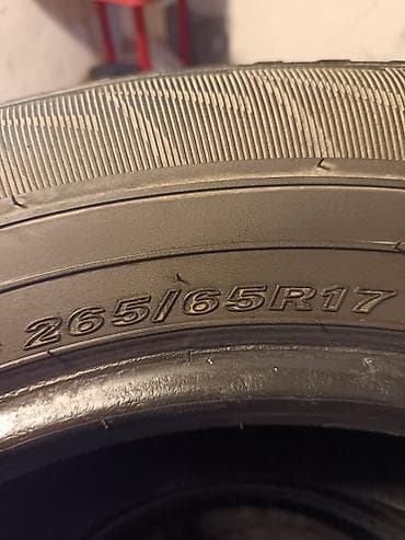 pathfinder: Nexen M+S avtomobil şinləri - Ölçü: 265/65 R17 - Brend: Nexen - — 2