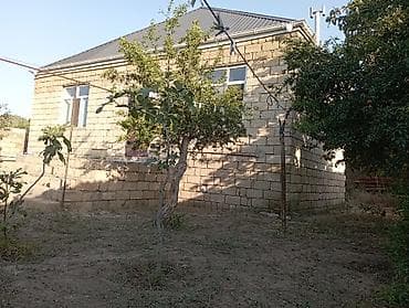 topaq: 6 sot, Biznes üçün, Mülkiyyətçi, Kupça (Çıxarış) — 9