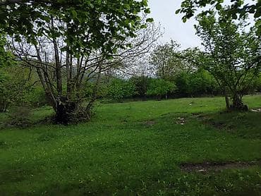 61 sot, Kənd təsərrüfatı, Mülkiyyətçi, Kupça (Çıxarış) lalafo.az -da 61 sot, Kənd təsərrüfatı, Mülkiyyətçi, Kupça (Çıxarış)